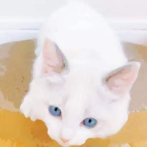 制服丝袜吉吉影音
